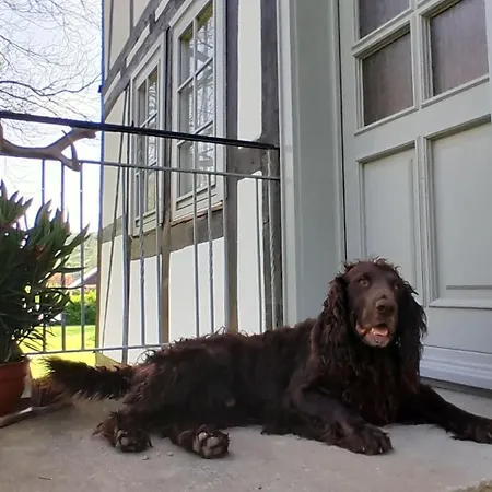Wildhüterhaus An Der Wasserburg Rotenburg an der Fulda