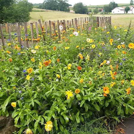 Apartment Wildhüterhaus An Der Wasserburg *